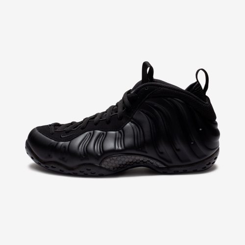 footwear nike air foamposite one FD5855 001.view 2