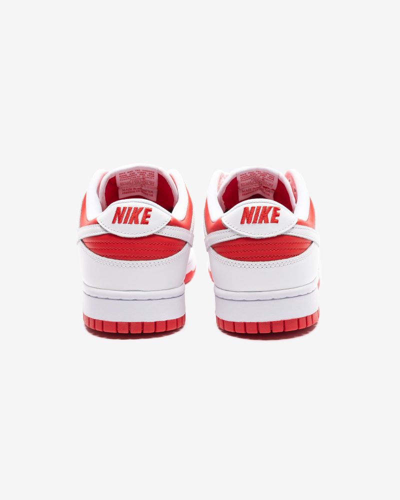 footwear nike dunk low retro DD1391 600.view 3