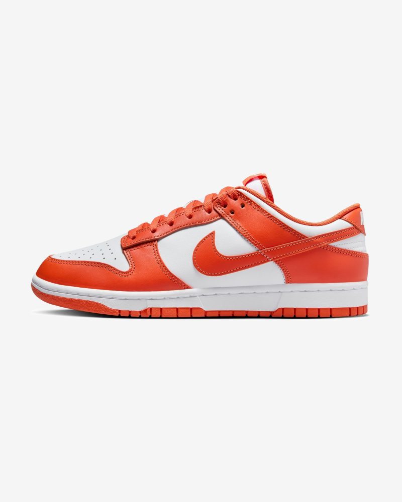 footwear nike dunk low retro DV0833 114.view 2