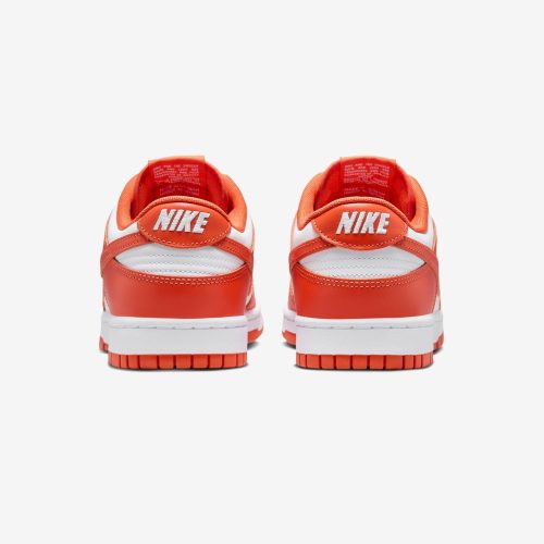 footwear nike dunk low retro DV0833 114.view 3