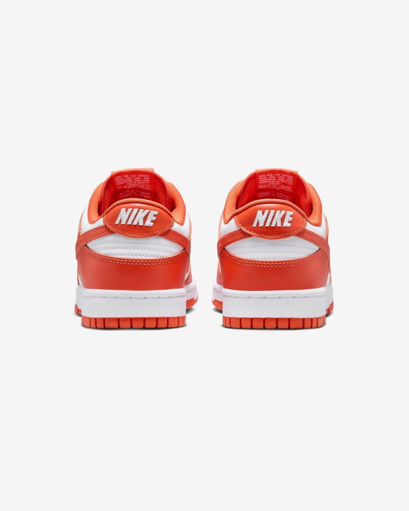 footwear nike dunk low retro DV0833 114.view 3