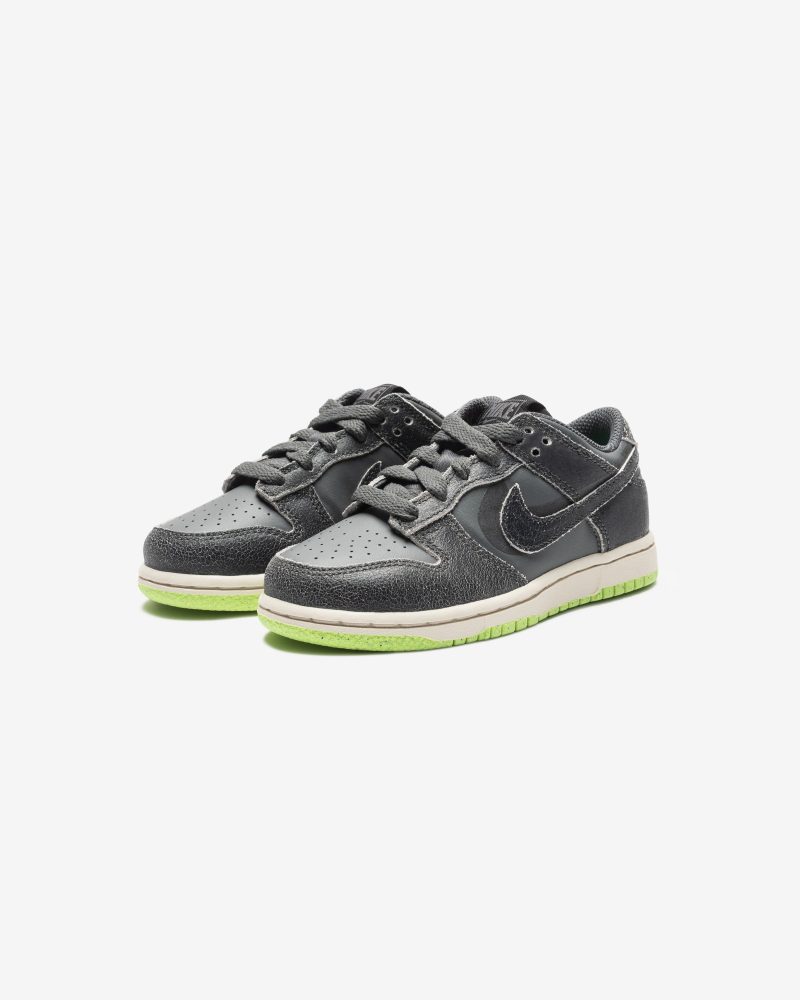 footwear nike ps dunk low se DQ6216 001.view 1