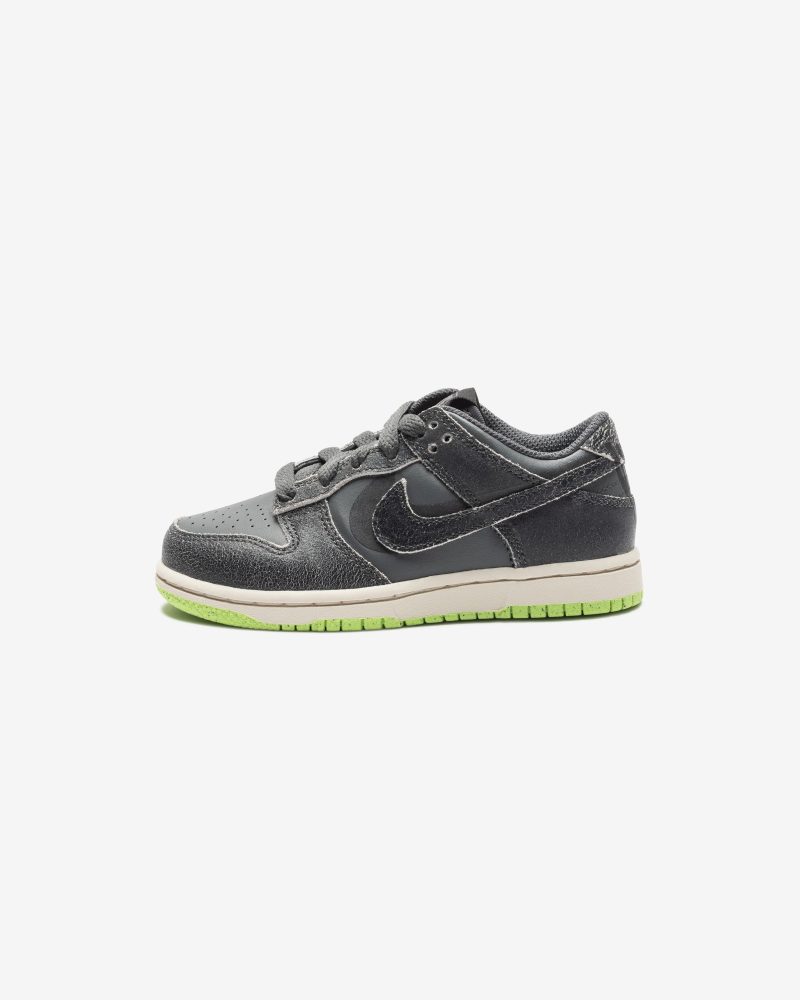 footwear nike ps dunk low se DQ6216 001.view 2