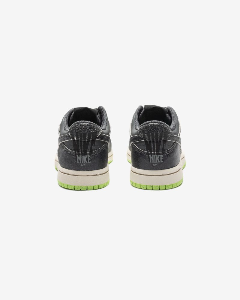 footwear nike ps dunk low se DQ6216 001.view 3