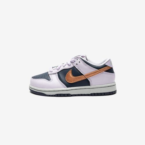 footwear nike ps dunk low se DX1664 400.view 2