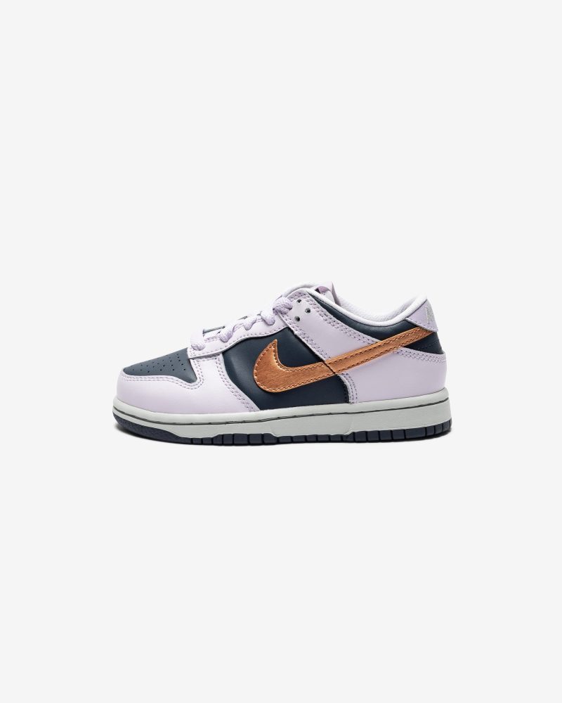 footwear nike ps dunk low se DX1664 400.view 2