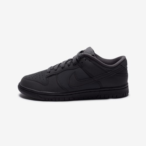 footwear nike womens dunk low FZ3781 060.view 2