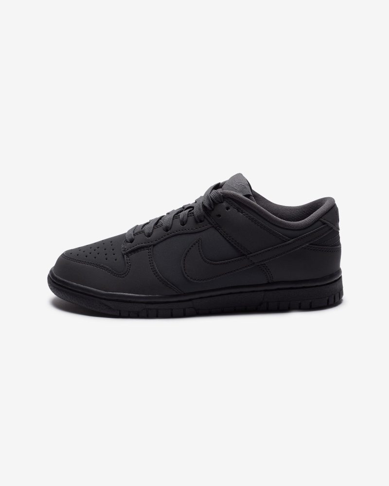 footwear nike womens dunk low FZ3781 060.view 2